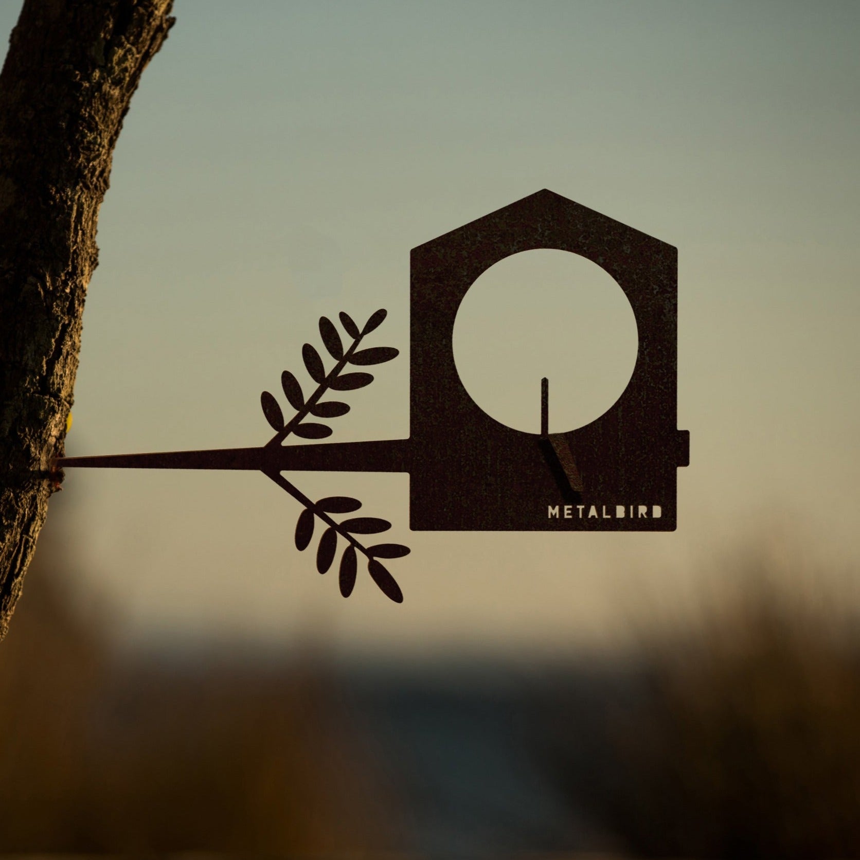 Bird Feeder