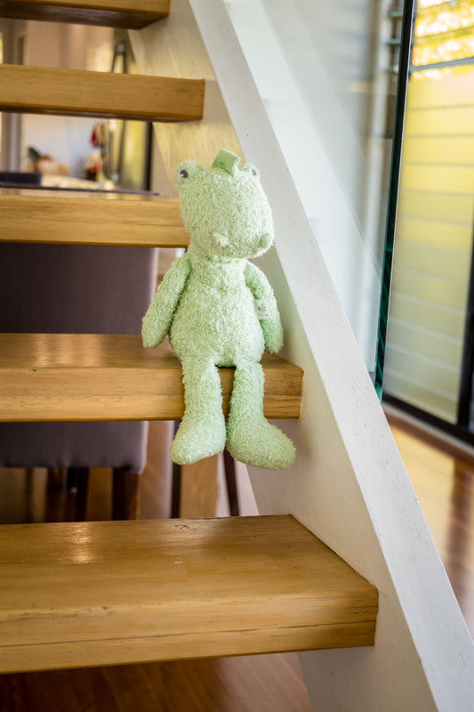 CLINT THE CROCODILE ORGANIC TOY