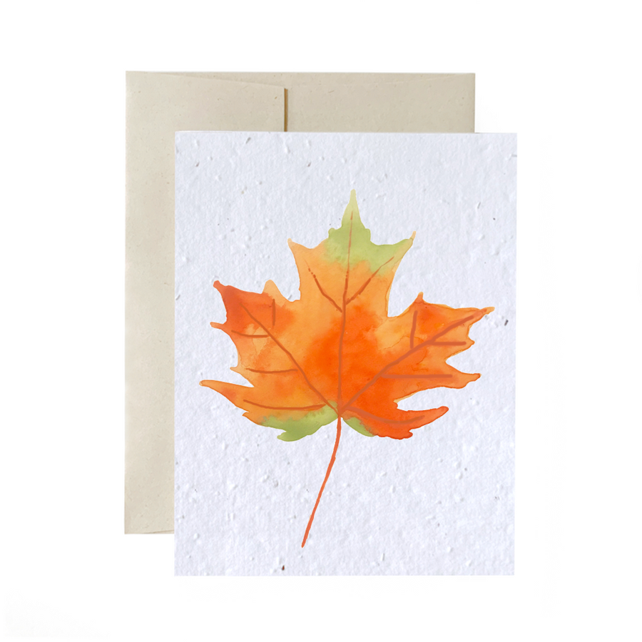 Maple Leaf | Card