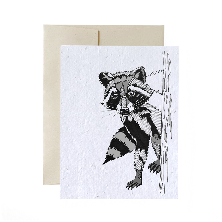 Raccoon | Card