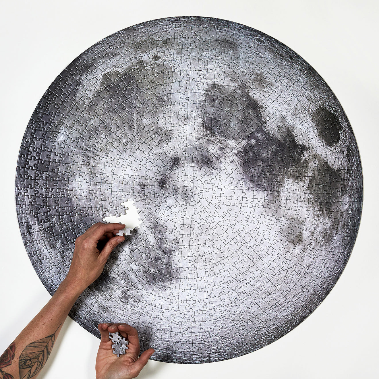 The Moon | 1000 pieces