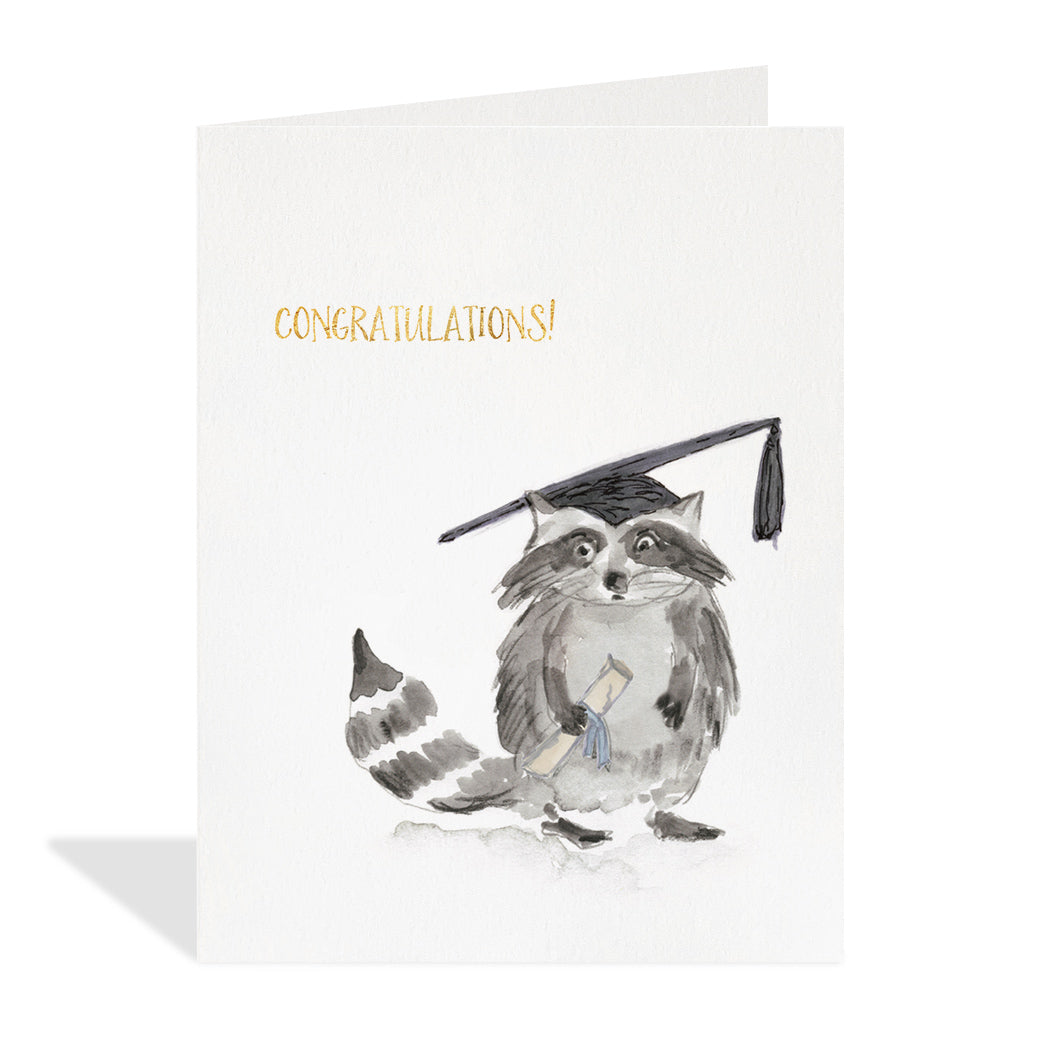 Graduation Racoon