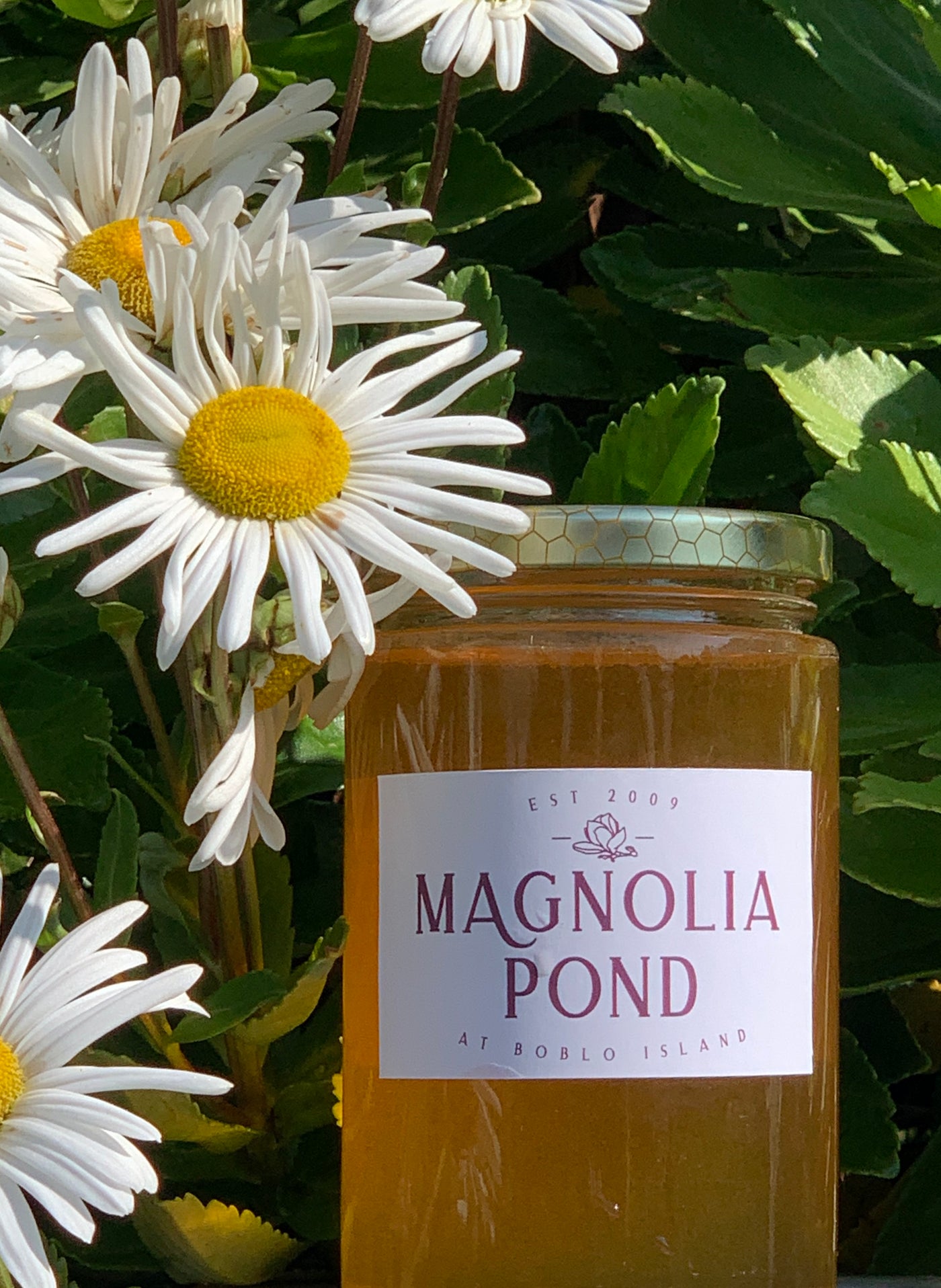 Magnolia Pond Honey