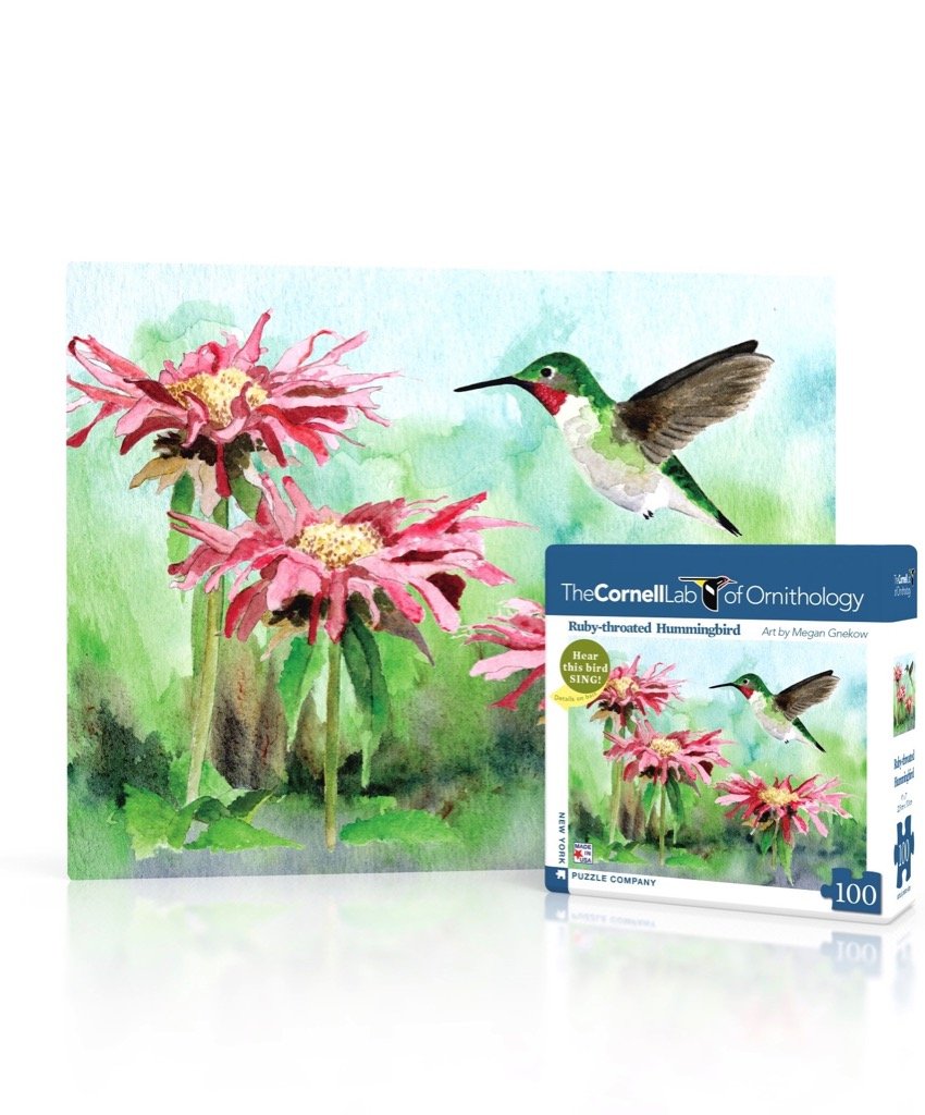 RUBY-THROATED HUMMINGBIRD MINI