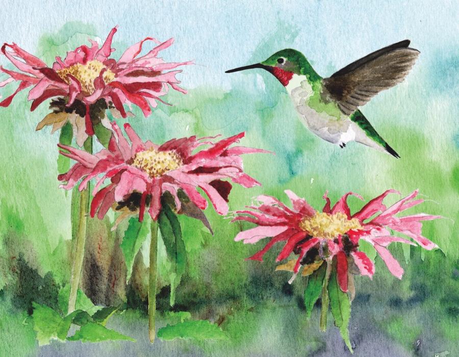 RUBY-THROATED HUMMINGBIRD MINI