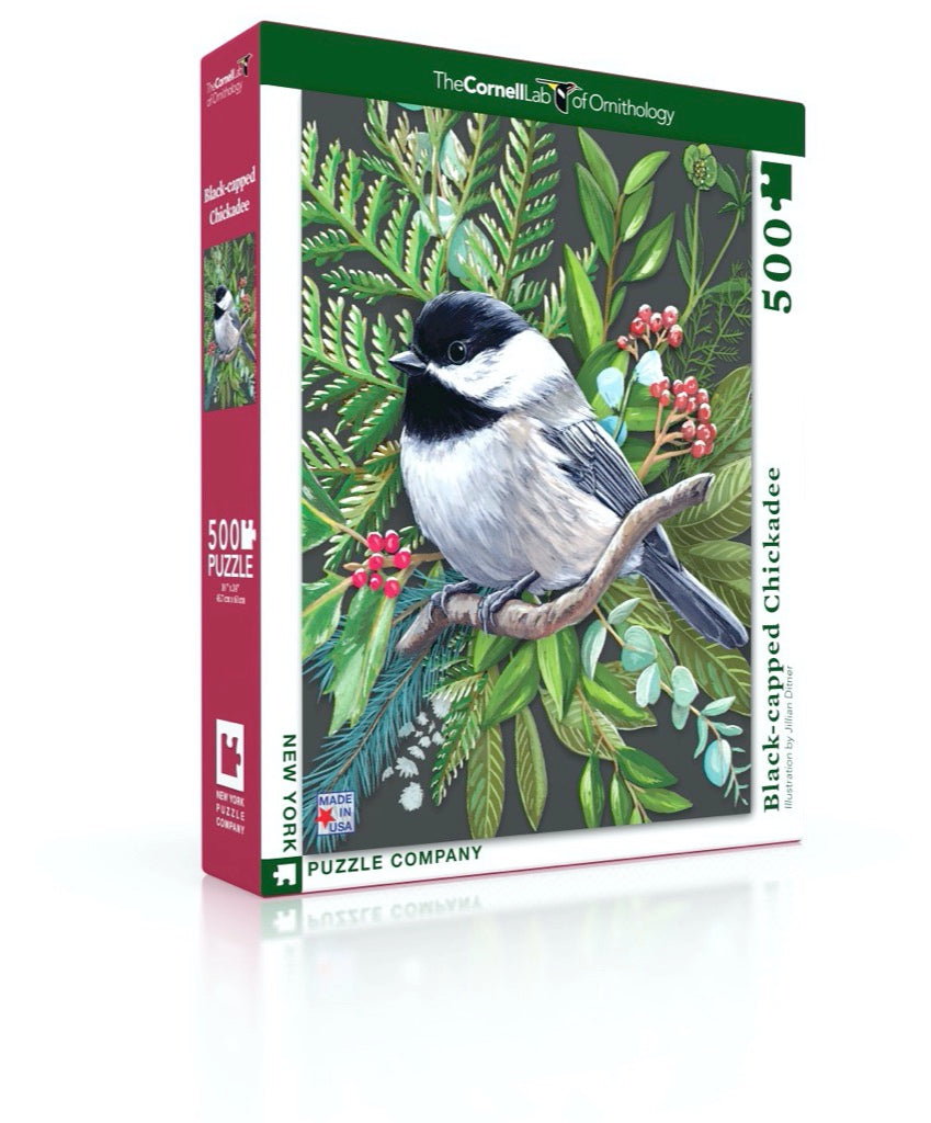 BLACK-CAPPED CHICKADEE