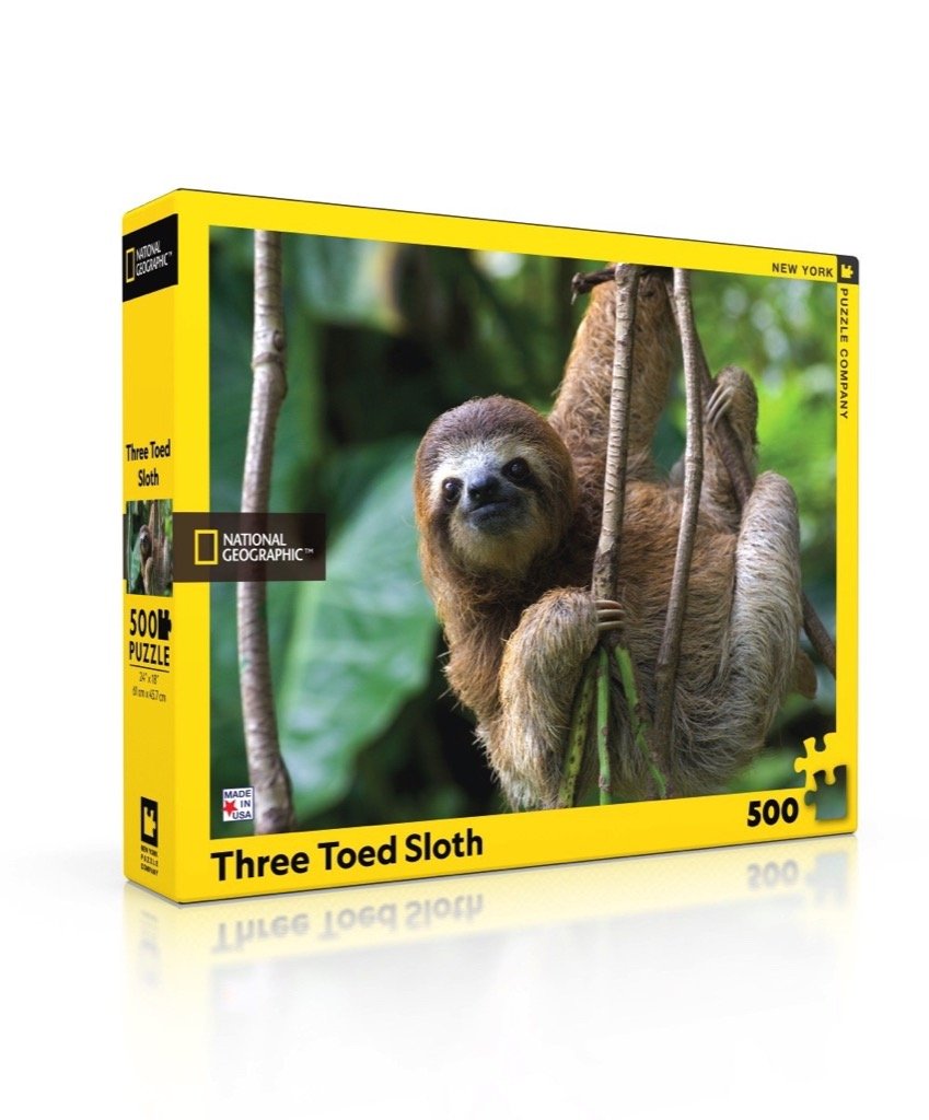 THREE TOED SLOTH