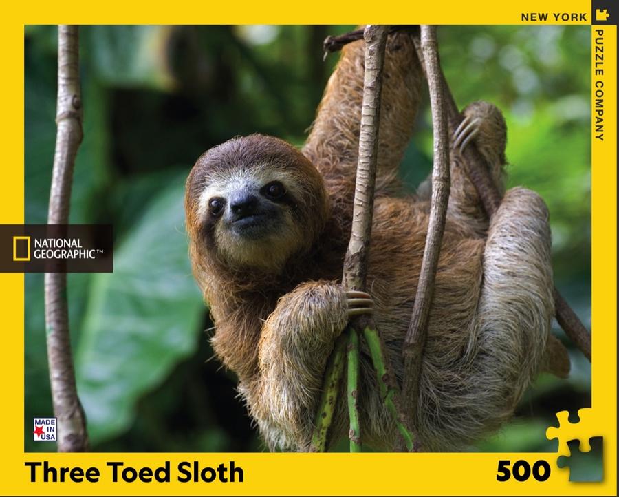 THREE TOED SLOTH