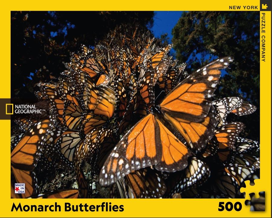 MONARCH BUTTERFLIES