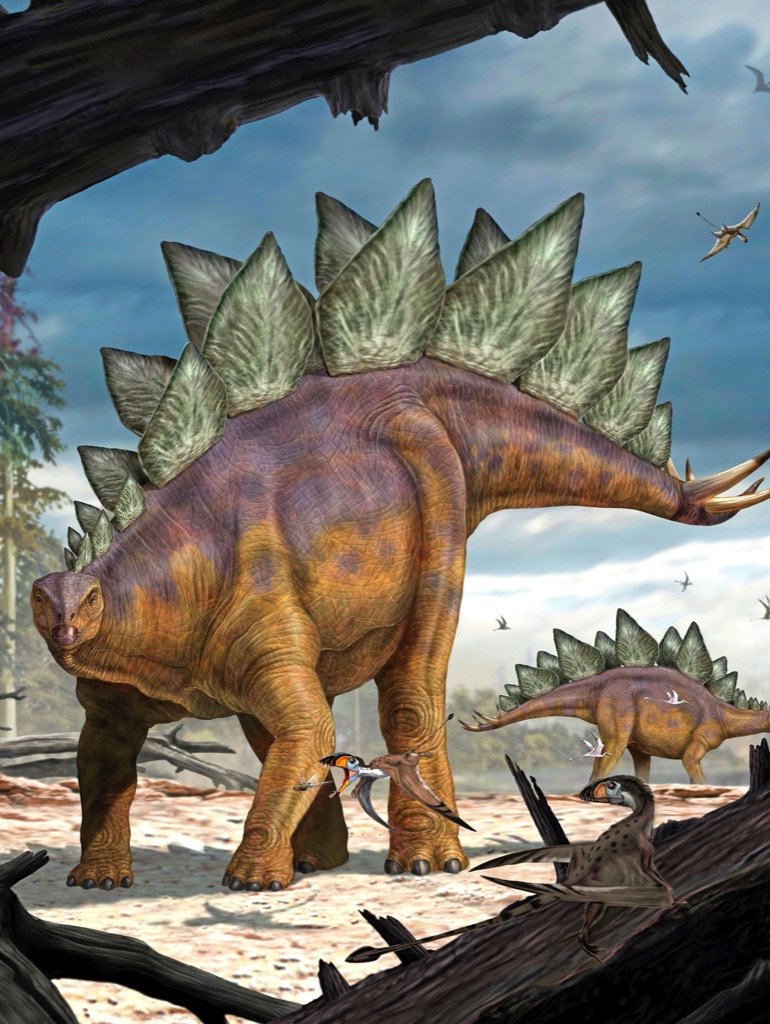 STEGOSAURUS