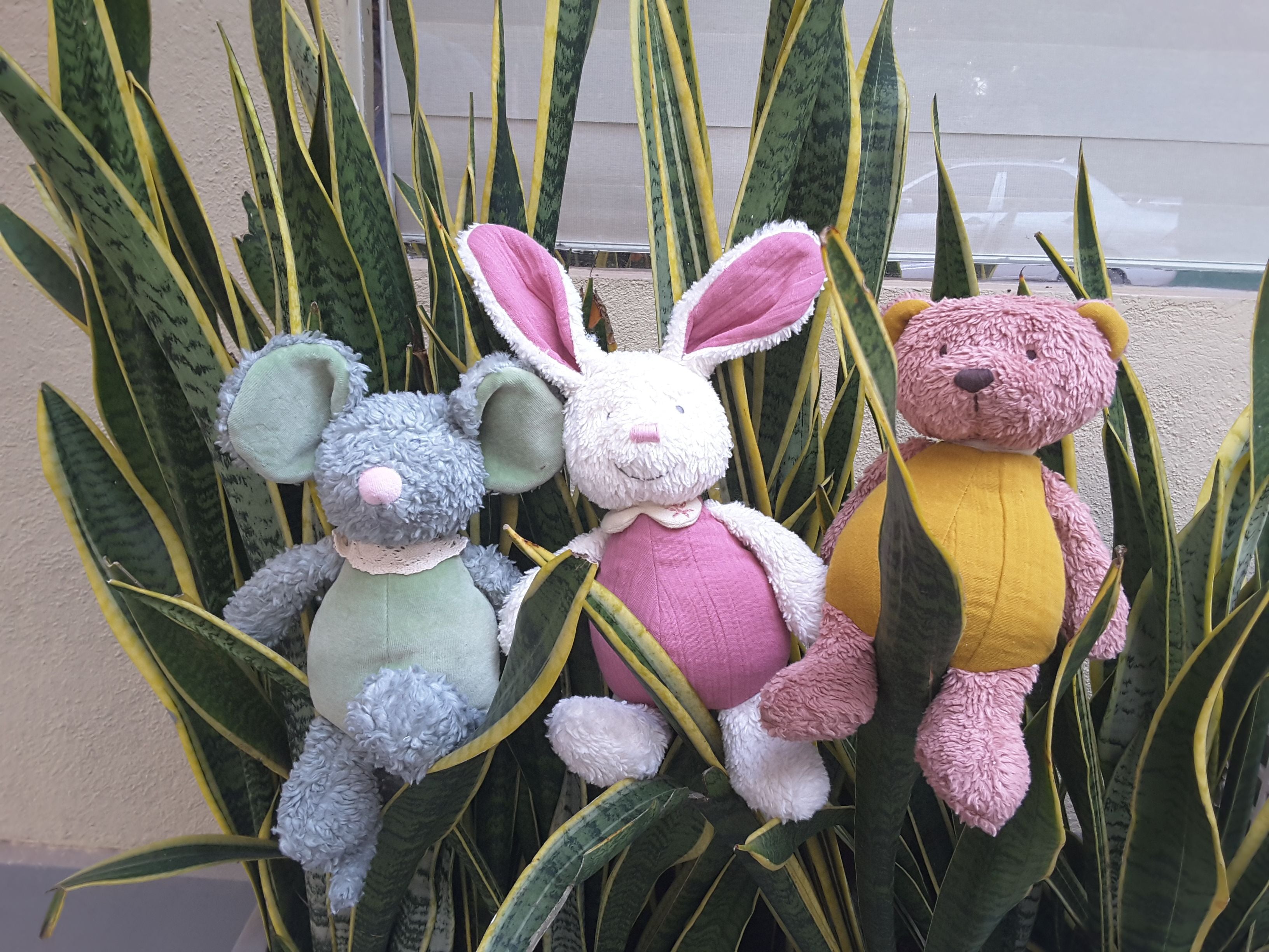 Classic Baby Bunny Organic Soft Toy
