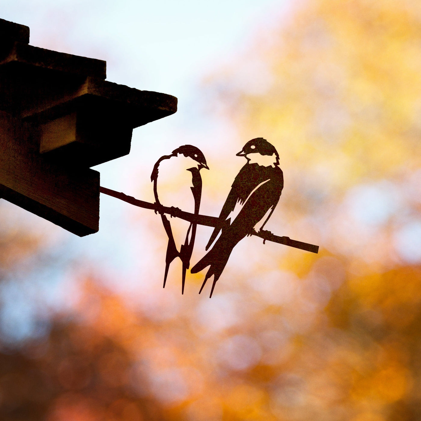 Pair of Swallows