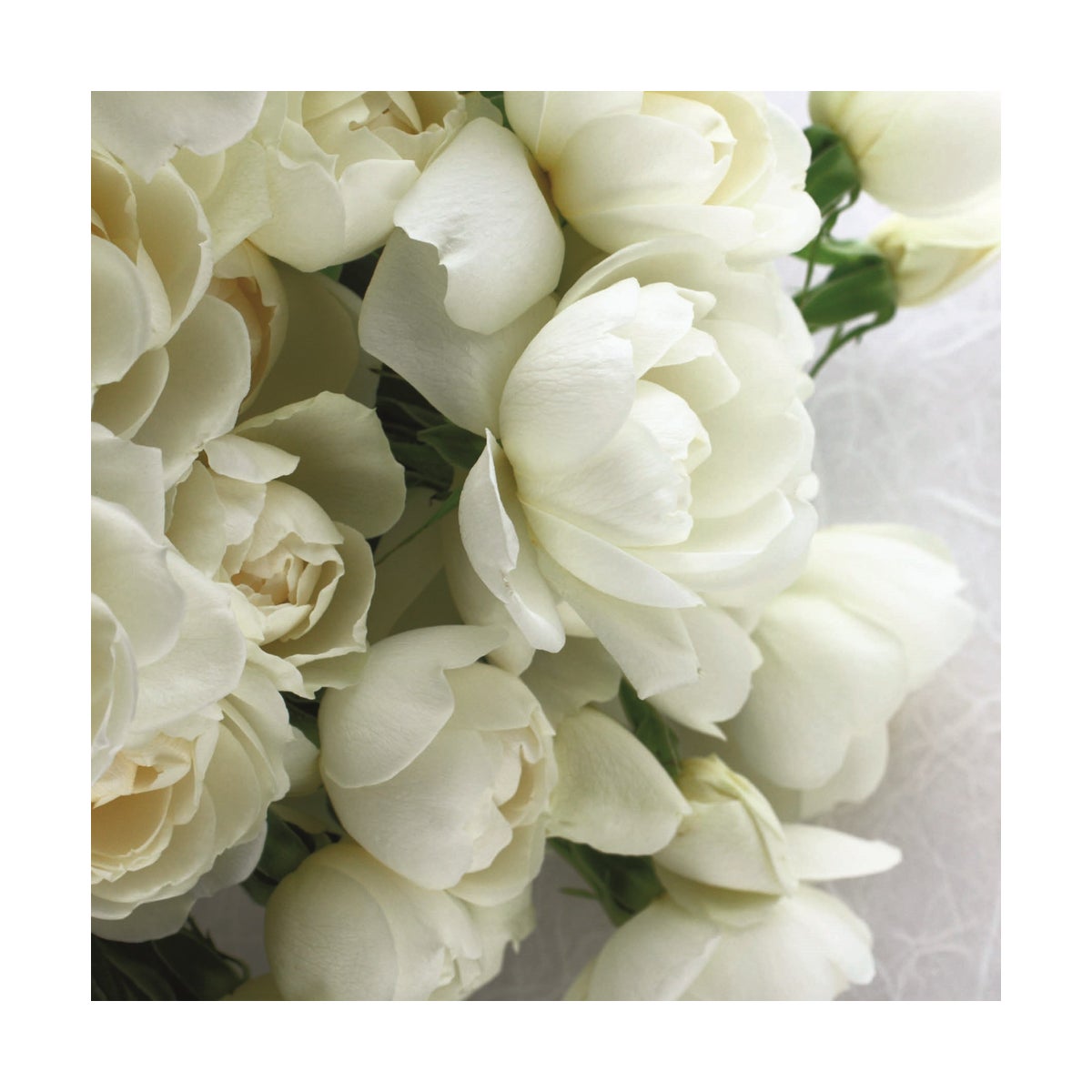 White Rose Bouquet|Art Press