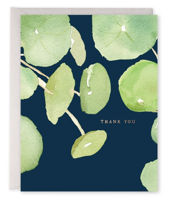 Pancake Plant Thank You|E Frances Paper