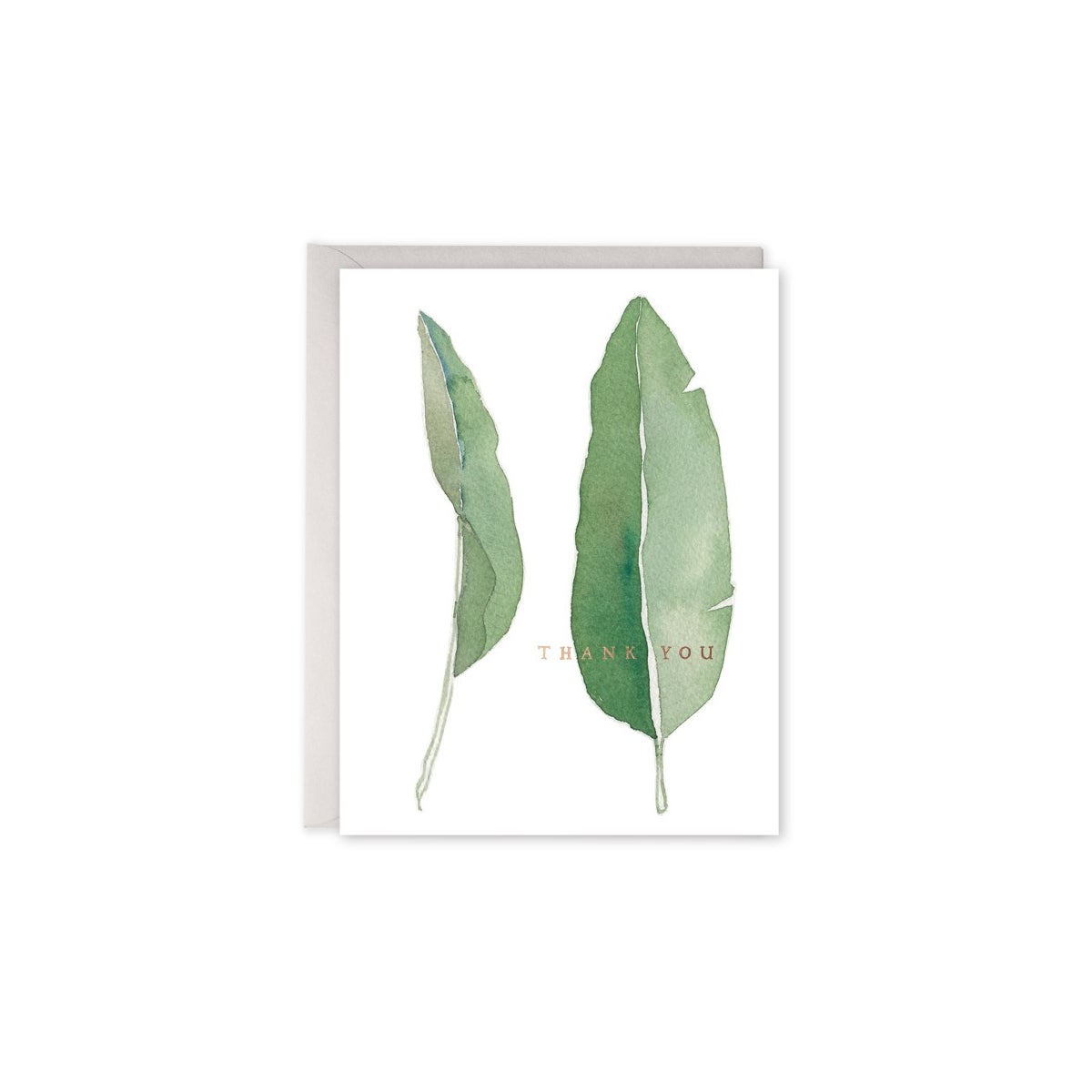 Thank You Leaves|E Frances Paper