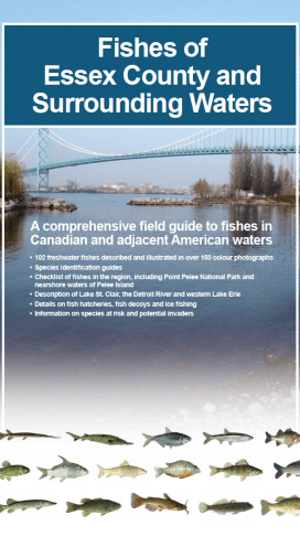 Fishes of Essex County and Surrounding Waters