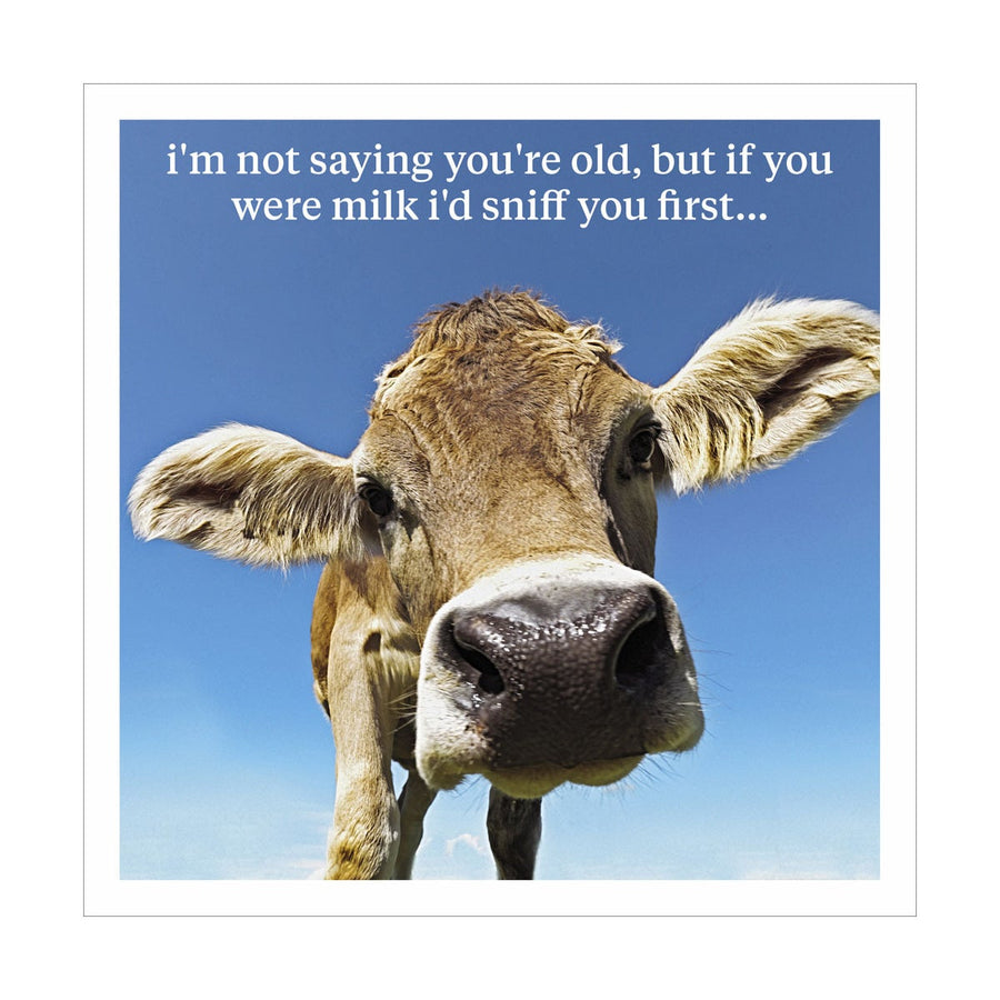 If You Were Milk|Icon