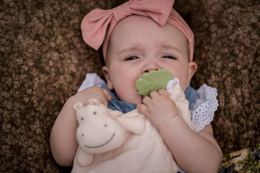 Hippo Comforter with Natural Rubber Teether