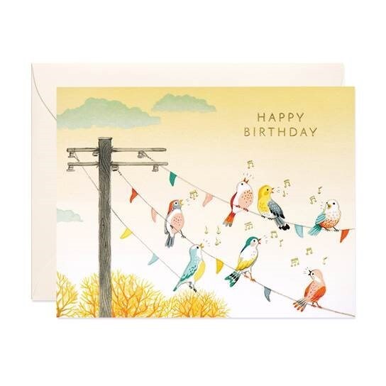 Birds On Wire Birthday|JooJoo