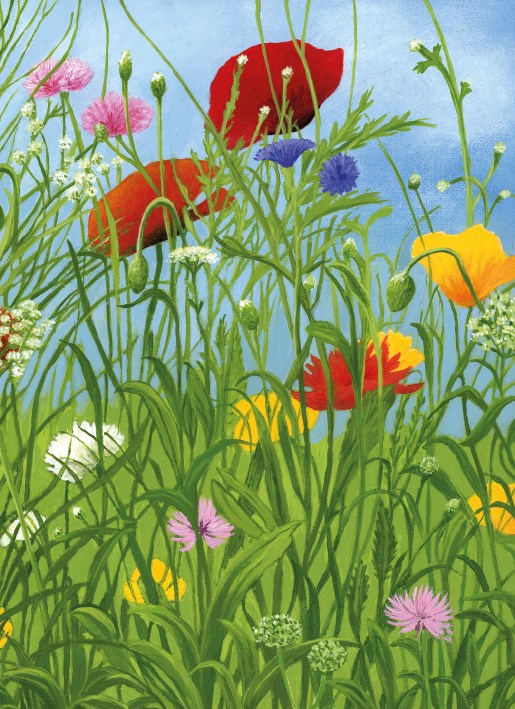 Summer Along The Riverbank|Museums Galleries