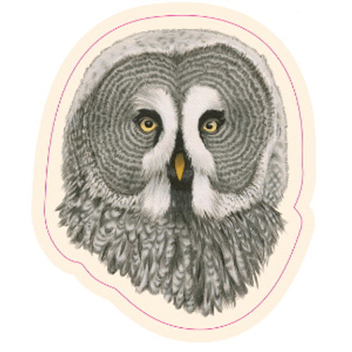GREAT GREY OWL STICKER