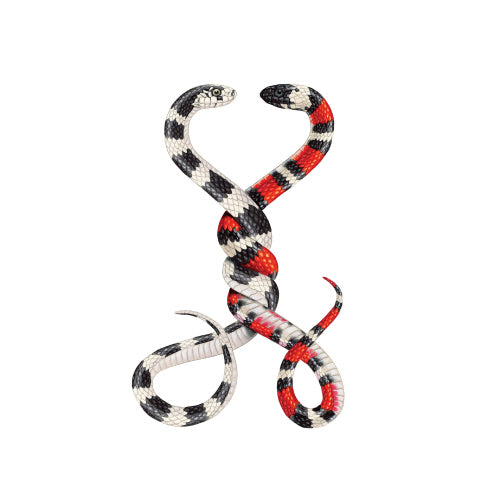 SNAKE HUGS STICKER