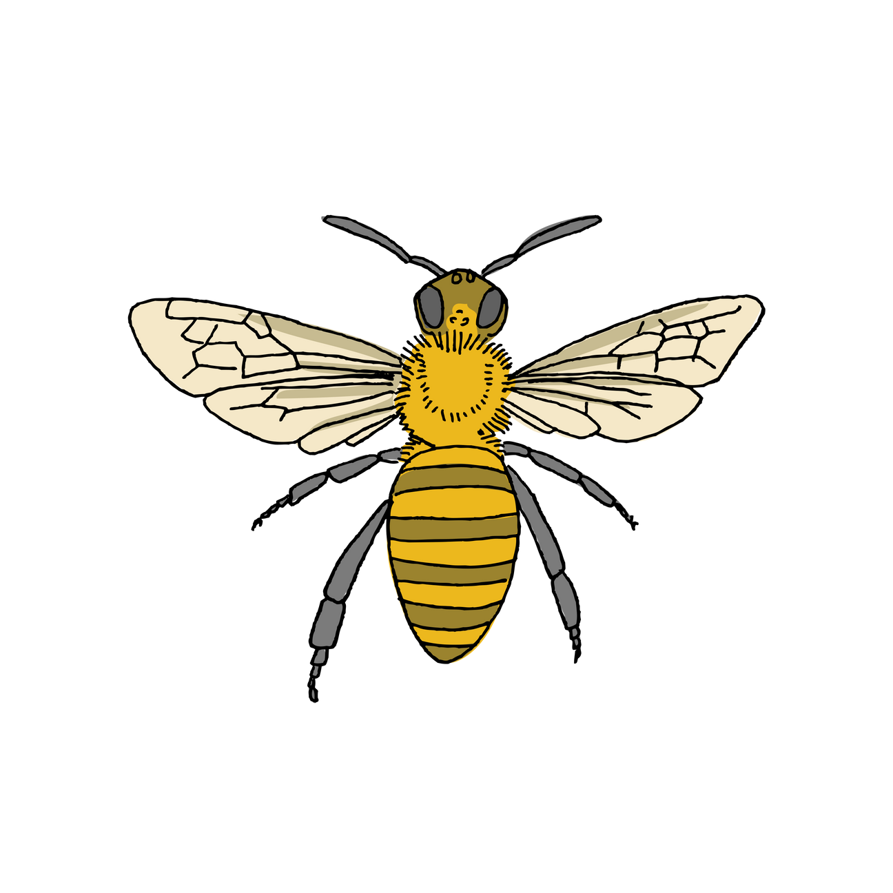 HONEY BEE TATTOO PAIR