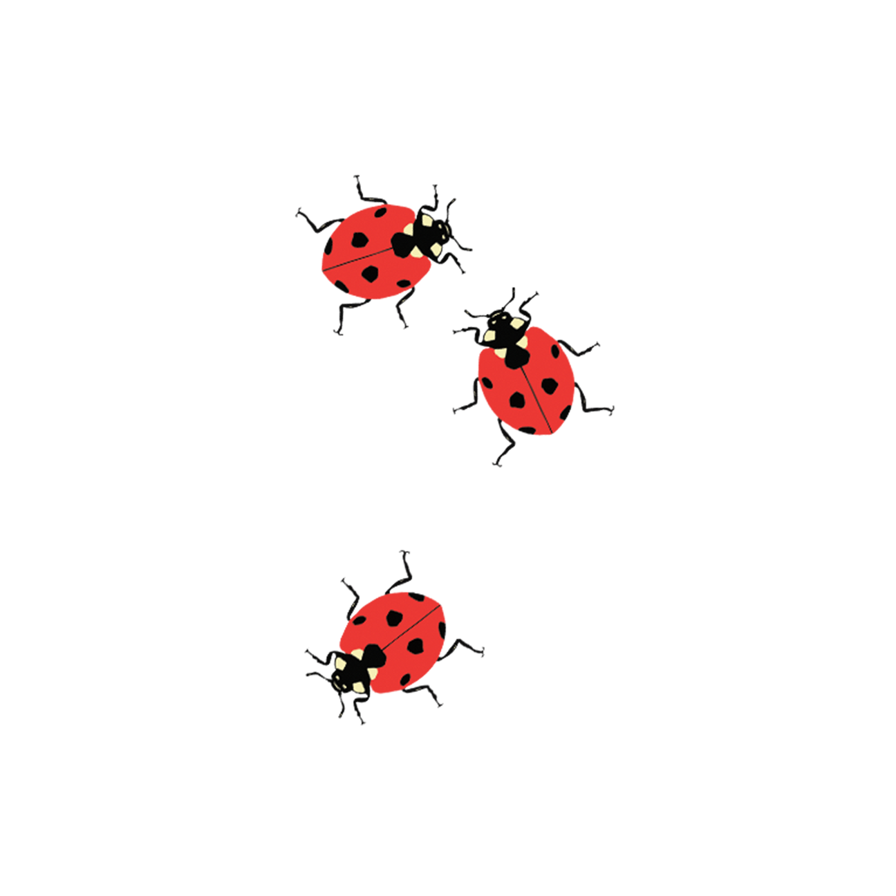 LADYBUGS TATTOO PAIR