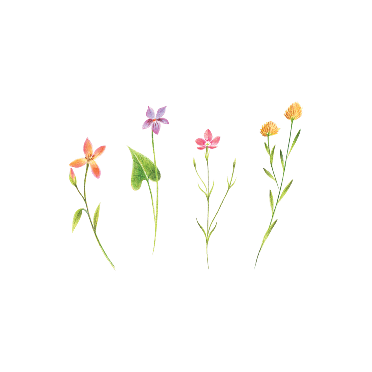 PETITE FLORALS TATTOO PAIR