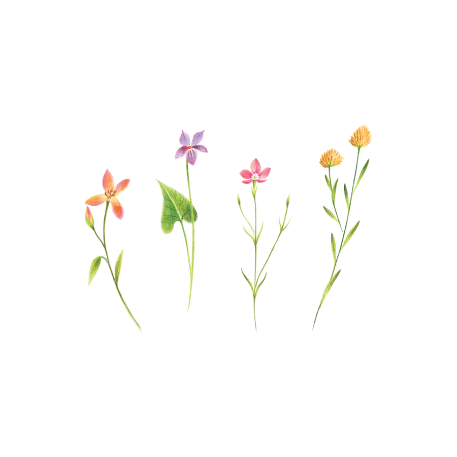 PETITE FLORALS TATTOO PAIR