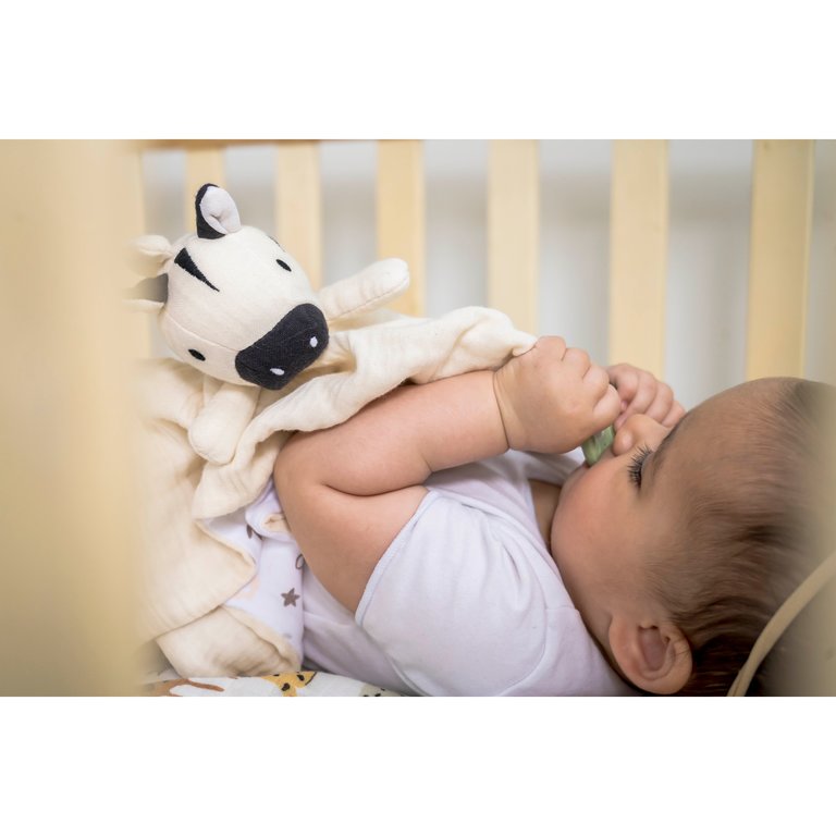 Zebra Comforter with Natural Rubber Teether