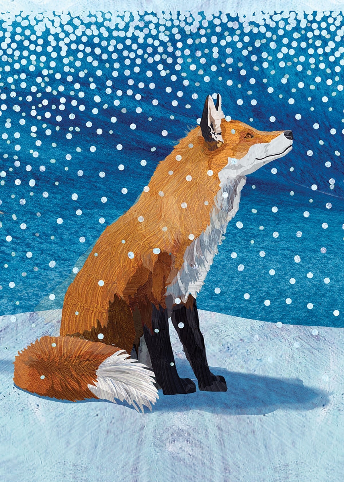Fox Moment l Allport