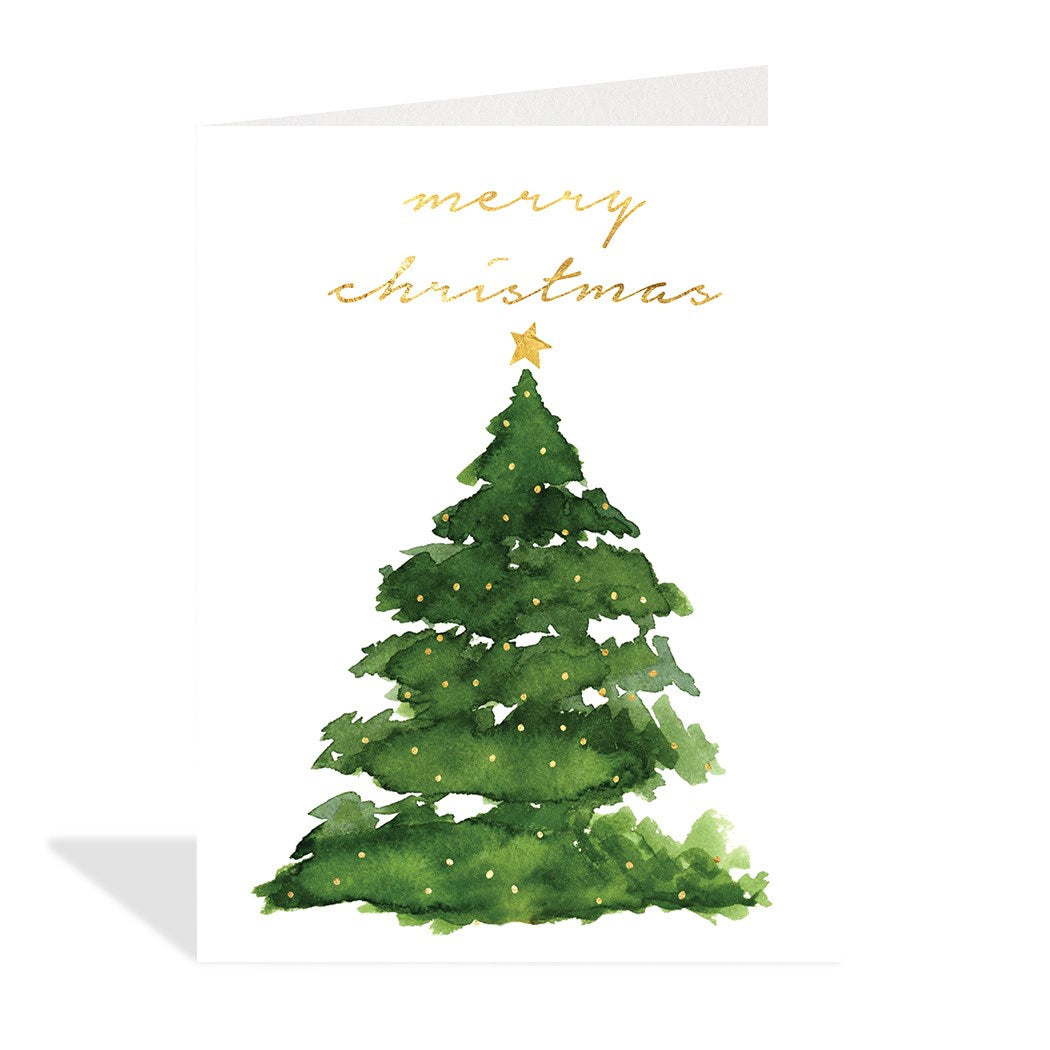 Watercolour Evergreen|Halfpenny